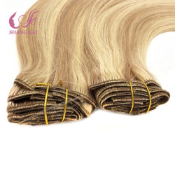 The Best Quality 100% Unprocessed Brazilian Human Hair Clip in Hair Extension The Best Quality 100% Unprocessed Brazilian Human Hair Clip in Hair Extension
